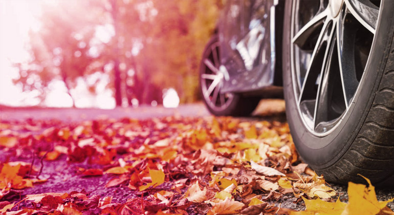 Vehicle on a road covered with leaves