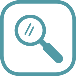 magnifying glass icon